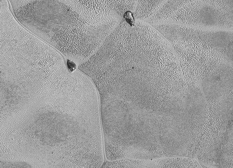 Illustration for article titled NASA’s New Photos Bring Pluto’s Surface Into Sharp Focus